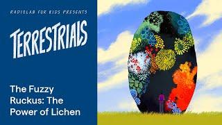 The Fuzzy Ruckus: The Power of Lichen | Terrestrials | Radiolab for Kids Podcast