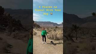 5 Places to Travel With Your Dog