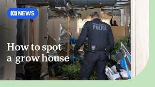 Here's how to spot a cannabis grow house in your suburb | ABC News