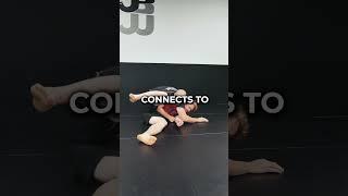 Wrestling for BJJ - arm drag #martialarts #learning #technique