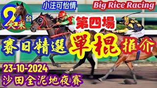 〖賽日精選單棍〗23-10-2024 沙田全泥地夜賽 - 提供第4場: 單W馬胆 + 單棍配腳