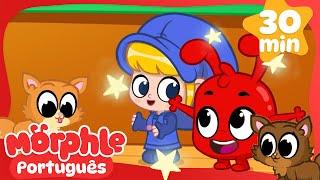 Morphle e os gatinhos amigos | Morphle em Português | Desenhos em Portugues