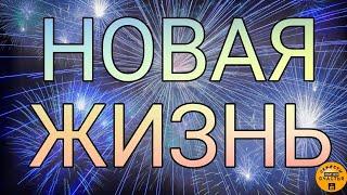 НОВОЕ В ЖИЗНЬ! твоя любовь, свобода, уверенность и успех, секреты счастья мастер Катя, просто смотри