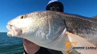 Big Red Snapper from Florida State Waters and  few Bull Redfish