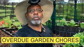 GreenStalk Watering, Hilling up Collards, and Harvesting Peppers