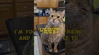Right Answer.  Mitzi Is One Smart Kitty #funnycats #catcute #cat