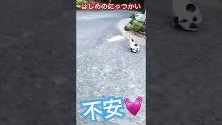 【ドキドキ】はじめてのにゃつかい