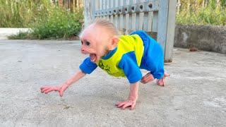 So heartbreakingMaby monkey lost, will Cutis be able rescue in time