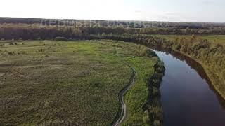 красота за огородами лужок деревня Окунево 2023