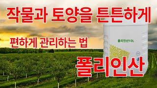 작물을 튼튼하게 폴리인산  #BBT#피프티 #꽃게아미노 #organic #fertilizer #논산시#친환경 #farming #agriculture  #farmer #폴리인산