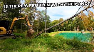 Tree Removal at the Pond - Caterpillar Excavator