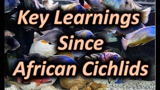 Key Learnings After Moving On From African Cichlids