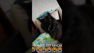 ЕГО БОЛЬШЕ СО МНОЙ НЕТ 