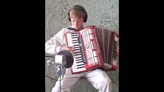 вальс ДОМИНО на АККОРДЕОНЕ!!! #top #accordion #music #folkmusic #folk #cover #guitarcover #mr beast