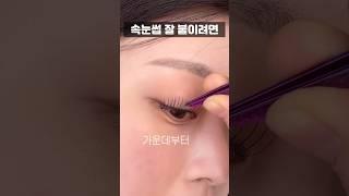 99%는 모르는 속눈썹 제대로 붙이는 방법