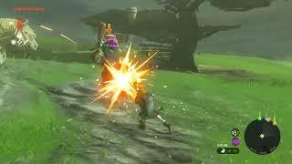 The Legend of Zelda: TOTK Fighting in fields