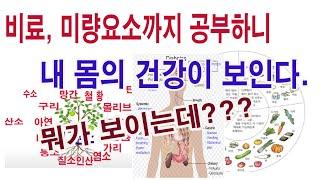 비료, 미량요소까지 공부하니 내 몸의 건강이 보인다. (NPK3요소, 3대영양소, 다량요쇼, 5대영양소, 비타민, 무기질, 미량요소, 미네랄, 아미노산, 탄질율, 섬유질, 영양소)