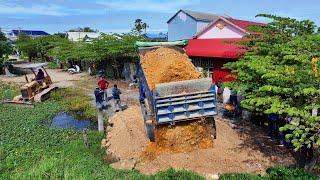 Full Complete 95% Landfill Flooded area ! Bulldozer Push Stone Soil ,Truck5Ton Unloading Stone soil