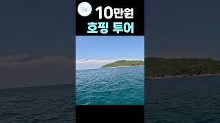 10만원 호핑투어는? (feat. 크레이지 호핑투어) #여행 #나트랑 #베트남 #여름휴가