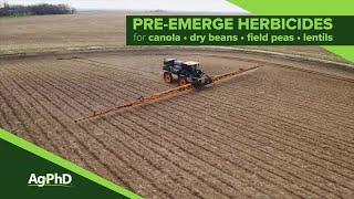 Pre-Emerge Herbicides For Canola-Dry Beans-Field Peas-Lentils (From Ag PhD #1095 - Air Date 3-31-19)