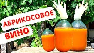 ВИНО из АБРИКОСОВ! Делаем ДОМАШНЕЕ вино , ПОШАГОВЫЙ РЕЦЕПТ. Часть 1 / Как сделать абрикосовое вино?