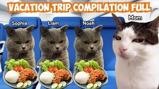 Cat Memes Family Vacation Trip Compilation Full