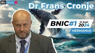 BNIC#1 Frans Cronje: South Africa's path forward - GNU's strengths, risks, and future