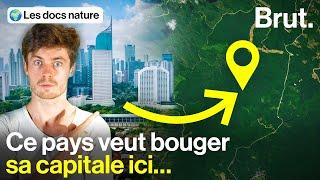 Une capitale futuriste géante… en pleine forêt ?!