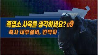 09 흑염소 사육을 계획하시나요?  축사 내부설비와 칸막이는..