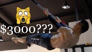 Workout on $3000 Pull Up Bar (300만원 짜리 철봉에서 운동하다)