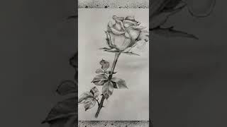 #Osama skill from a picture artists#trendingshorts .#please suscribe my channel.