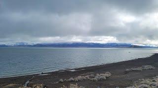 Pyramid Lake Water Babies