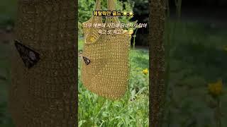 1만원대로 명품가방 뜨기 #메탈릭얀 #명품가방 #명품가방뜨기 #블링블링 #메탈골드 #네트백뜨기 #프라다가방
