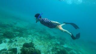 보라카이 호핑투어 프리다이빙 스노클링 스킨다이빙 boracay boracayfreedive boracayfreediving boracaydiving