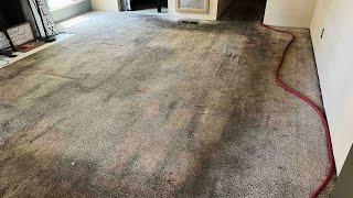 The Worst Carpet Cleaning EVER!!! Unbelievable Extremely Dirty!!