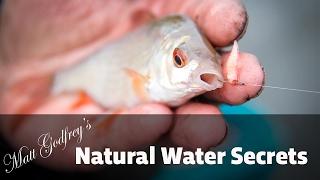 Catch More Natural Water Fish