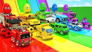 Bingo + The Wheels on The Bus Song - School Bus and Big Footballs. Baby Nursery Rhymes & Kids Songs