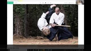 Francine Schaepper's Interview (Why I love Martial Arts Photography)