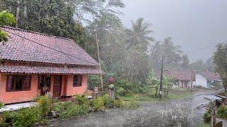 Walking in the rain of Great Thunder in the village Red soil || 99% Get rid of insomnia quickly