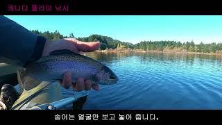 [플라이 낚시] 캐나다 가을 호수 송어 플라이 낚시 Fall lake fly fishing for trout