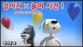 집사의 마법! 강아지 집중력 UP 놀이타임 - Playtime to improve puppy concentration