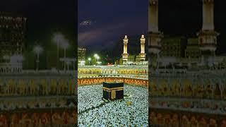 Bukhari Sunni network#islamc#video