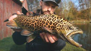 Des poissons UNIQUES se trouvent ici ! Une pêche aux leurres light...