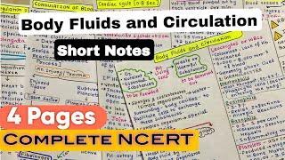 Body Fluids and Circulation | Short Handwritten Notes | NEET 2025