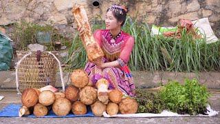 Harvesting Vegetables, Tuber, Fruit Goes to the market sell and take care of the Garden