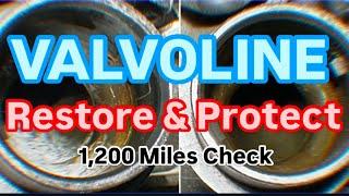 Valvoline Restore & Protect (1,200 Mile Check-in)