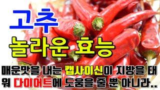 고추의 놀라운 효능 7가지 & 부작용 / "매운맛으로 채워지는 건강한 선택, 고추의 놀라운 효과"