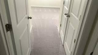 carpet cleaning land o lakes