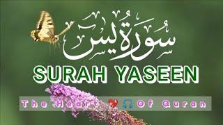 Surah ya sin |Yaseen |Beautiful tilawat quran سورة يٰٓسين Epi :16 |Beautiful recitation kalim shah