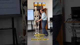 AcupunctureAnatomy Class️TCM #viral #trending #youtubeshorts #shortsfeed #tcm #shorts #shortsfeed